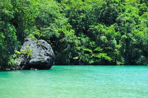 la gran roca en el mar con la abundante selva tropical de fondo foto