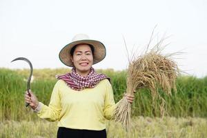 Happy Asian female farmer wear hat, Thai loincloth, holds sickle to harvest rice plants at paddy field. Concept, Agriculture occupation.  Farmer with organic rice. photo
