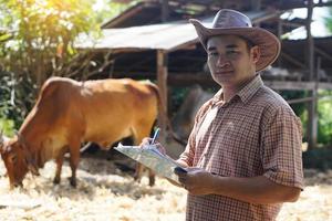 Asian man owner of animal farm records information about cows in local farm. Concept for study and research about growth and disease of animal. Agriculture development. zoology. Cow veterinary. photo