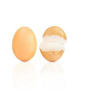 Chicken eggs. Cracked egg shells on a white background. photo