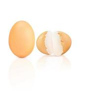 Chicken eggs. Cracked egg shells on a white background. photo