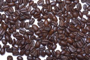 granos de café sobre fondo blanco foto