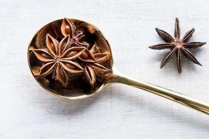 Star Anise on a Gold Spoon photo