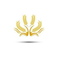 Wheat logo vector icon illustration