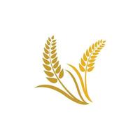 Wheat logo vector icon illustration