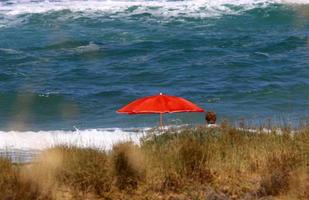 Umbrella in the city park near the sea. photo