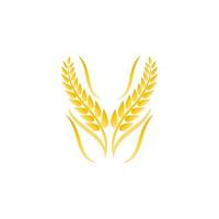 Wheat logo vector icon illustration