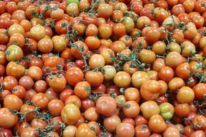 Vegetables and fruits are sold at a bazaar in Israel. photo