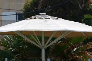 Umbrella in the city park near the sea. photo