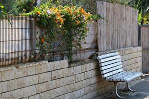 banco para descansar en un parque de la ciudad en israel. foto