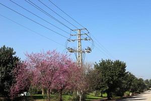 Wires on a pole carrying high voltage electric current. photo