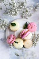 Macaron or macaroon with gypsophila flowers on grey background. Pastel colors french dessert with fresh flowers.