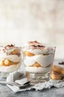 postre tradicional italiano tiramisú, fondo de piedra. Porción de postre con sabor a café a base de savoiardi y mascarpone decorado con cacao. foto