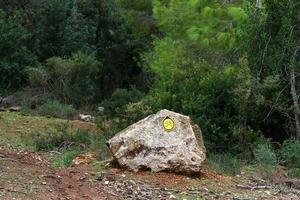 Road signs and road signs in Israel photo