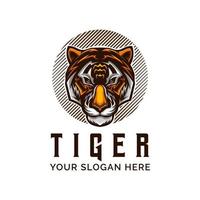 plantilla de ilustración de vector de cabeza de logotipo de tigre