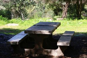 Bench for rest in a city park in Israel. photo