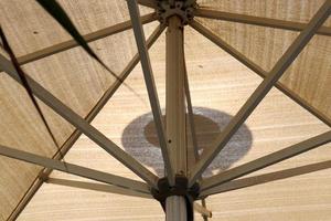 Umbrella in the city park near the sea. photo