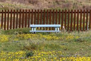 Bench for rest in a city park in Israel. photo