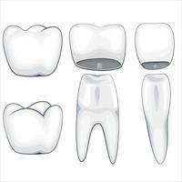 ilustración de corona dental, dientes sanos, ilustración de vector de dentista, cuidado oral