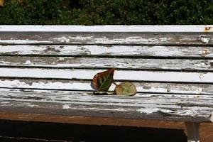 banco para descansar en un parque de la ciudad en israel. foto