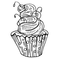 Hand drawn illustration of tasty cupcake. Vector illustration. Sketch cupcake