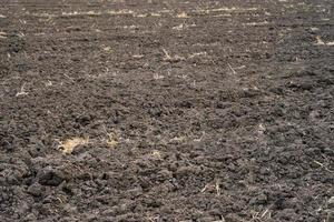 Plowed field after harvest, prepared for new planting of crops. Panorama of land prepared for planting and growing crops. photo