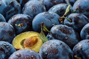 Plums and prunes halves, background of fresh organic fruits in water drops, close-up. Selective focus, shallow depth of field.Beautiful ripe prunes, fruit harvesting in autumn, eco-products photo