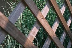 enrejado de madera. fondo natural borroso, enfoque en el follaje de hierba verde en el fondo, en el enrejado del jardín, telón de fondo o salvapantallas para la pancarta de la naturaleza foto