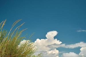 Blue sky with cumulus clouds, selective focus on grass, blurred background. The idea of a weekend at sea, summer time photo