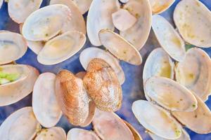 Background shell of vongole clams on a plate, top view. Idea for splash screen or banner photo