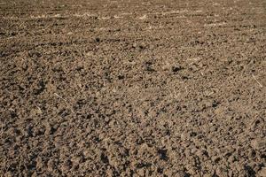 Plowed field in spring, preparation for sowing crops. Caring for the ecology of the earth, agricultural work on the farm. photo