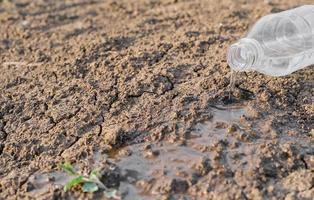 Drought, selective focus on water pouring out of a bottle on dry land, dying plants due to drought, eco crisis and drought in Asia, critically hot summer, lack of water photo