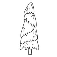 Beautiful forest tree. Christmas tree. Vector hand drawing in doodle style. For holiday decor, design, decoration and printing.