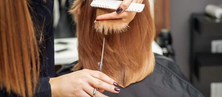 Hairdresser cuts red hair tips photo