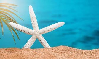 White starfish on beach sand with palm branch, sea behind. Sunny day. The concept of vacation, sea, travel. Copy space photo