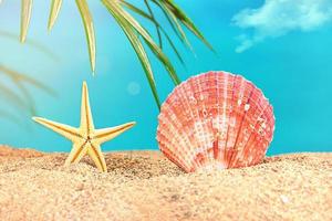 Starfish, scallop on beach sand with palm branch, sea behind. Sunny. Vacation, travel concept. Copy space photo