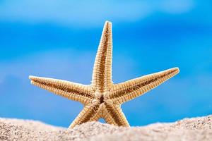 Starfish stands on sand on beach, behind sea. Vacation, beach, travel concept. Copy space photo