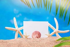 estrellas de mar blancas y amarillas, conchas marinas con hojas de papel y palmeras en la arena. vacaciones, concepto de viaje, vacaciones. copie el espacio foto