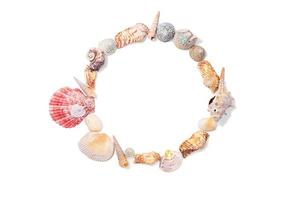 Round frame from seashells, molluscs and seashells on white isolated background. Sea background. Copy space photo