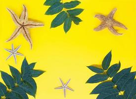 hojas verdes, estrellas de mar sobre fondo amarillo con espacio para texto. concepto de vacaciones, playa y viajes. copie el espacio foto