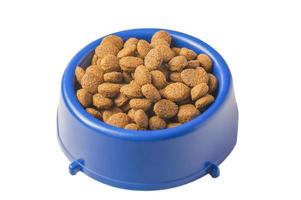 Dry food croquettes for cats or dogs in a blue bowl. Food for animals, pets. photo