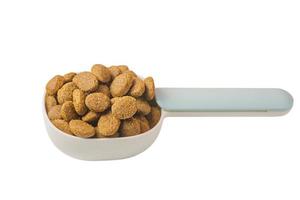 Spoon with dry feed for animals, pets. Cat or dog food balanced nutrition isolate on white. photo