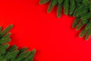 Top view of colorful background made of green fir tree branches. New year holiday concept with copy space photo