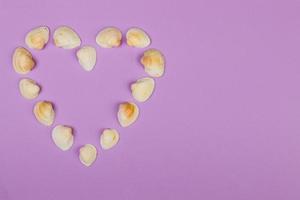 Symbolic heart made from seashells lying on purple background photo