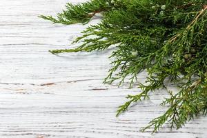 Green juniper twig with green cones lay on wooden table photo