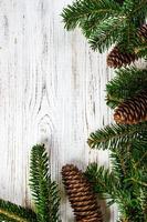 Christmas background. tree branches with cones Copy space photo