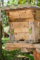 apiario hecho de caja de madera para casa de abejas en jardín natural tropical foto