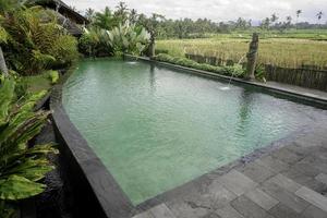 un retrato de una piscina junto a un campo de arroz, árboles y plats en un resort en ubud, bali foto