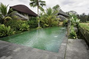 A portrait of a swimming pool beside rice field, trees, and plats in a resort in Ubud, Bali photo