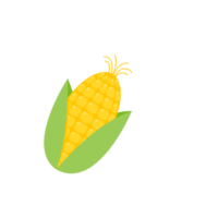 Green husks of yellow corn are used as a food ingredient. png